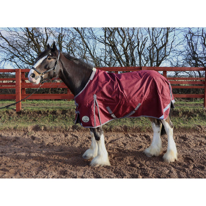 Heavy Horse 100g 1200D V2 Turnout Rug