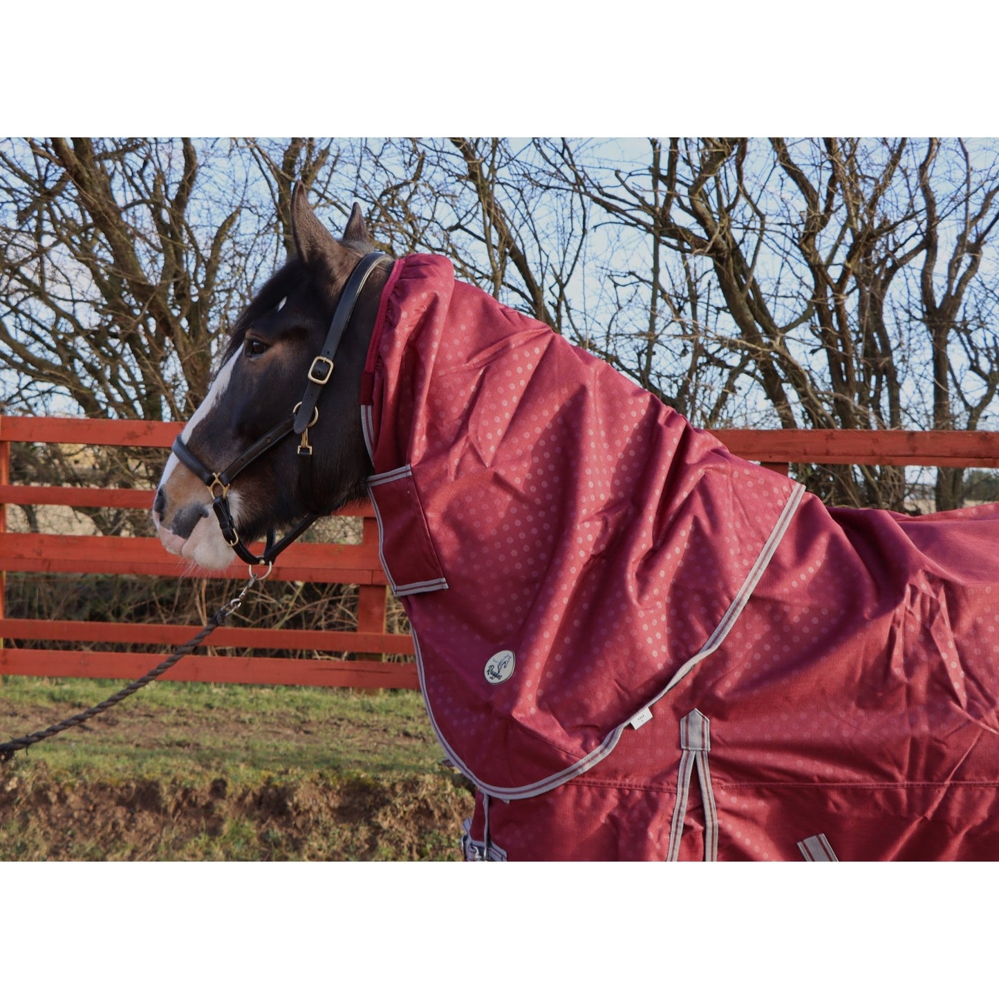 Heavy Horse 100g 1200D V2 Neck Cover Only (Matching Rug Available Separately)