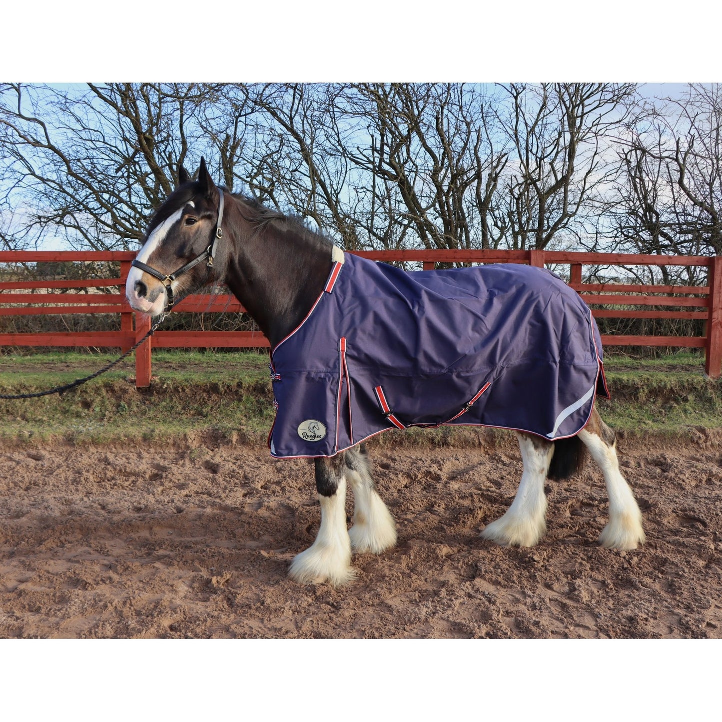 Heavy Horse 50g 1200D V2 Turnout Rug