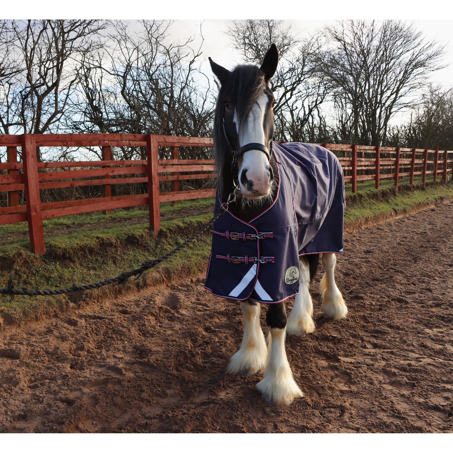 Heavy Horse 50g 1200D V2 Turnout Rug