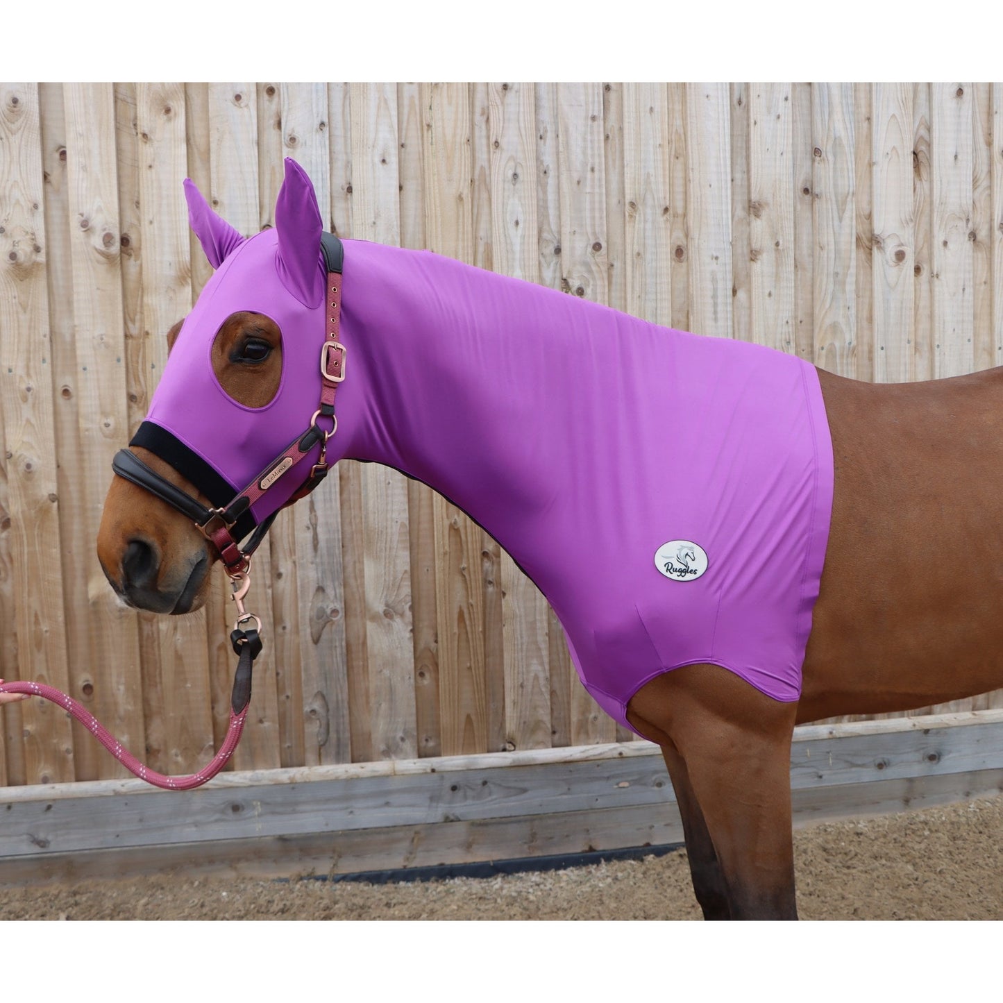 Lycra Hood With Zip - Available With or Without Ears