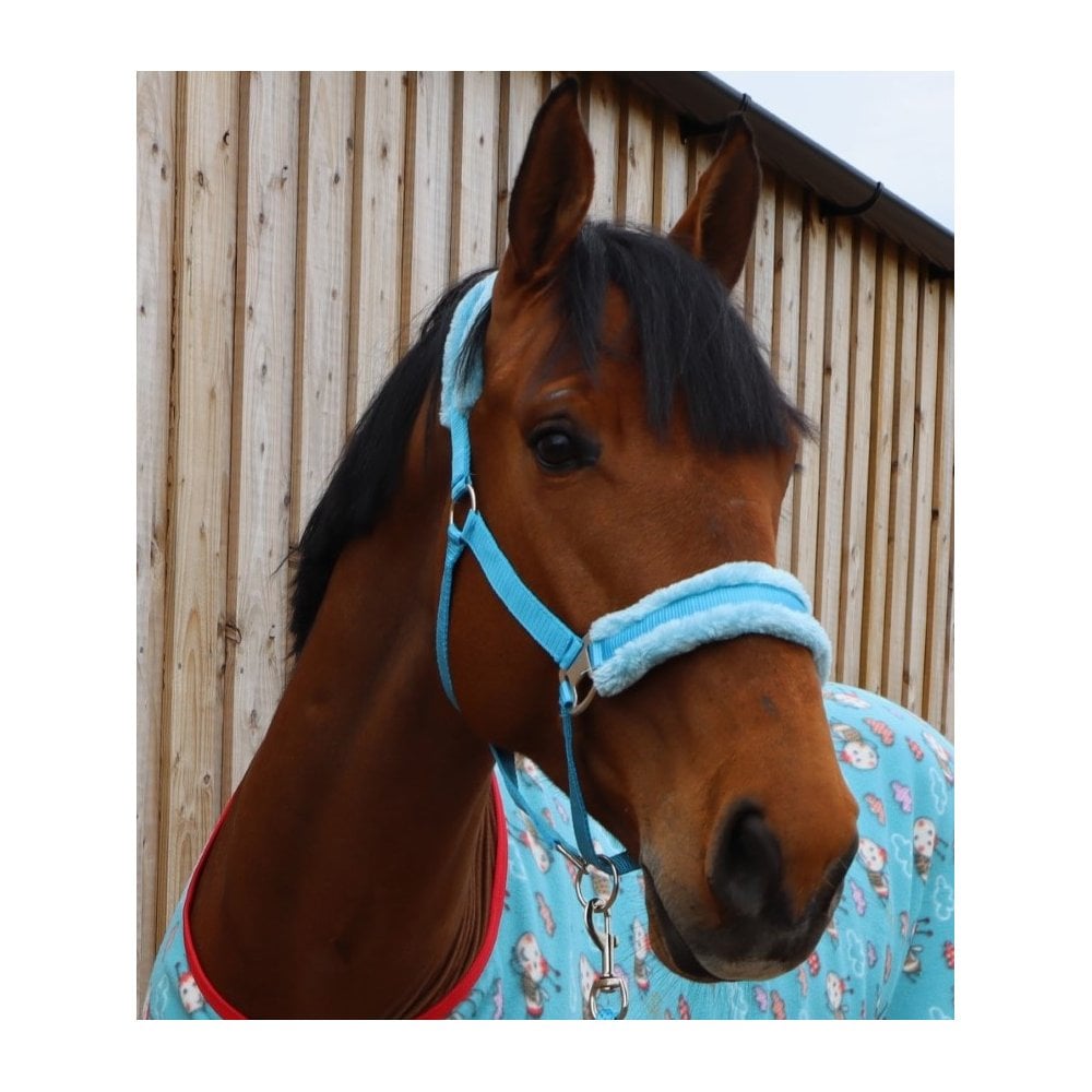 Horse and Pony Head Collar With Matching Fur