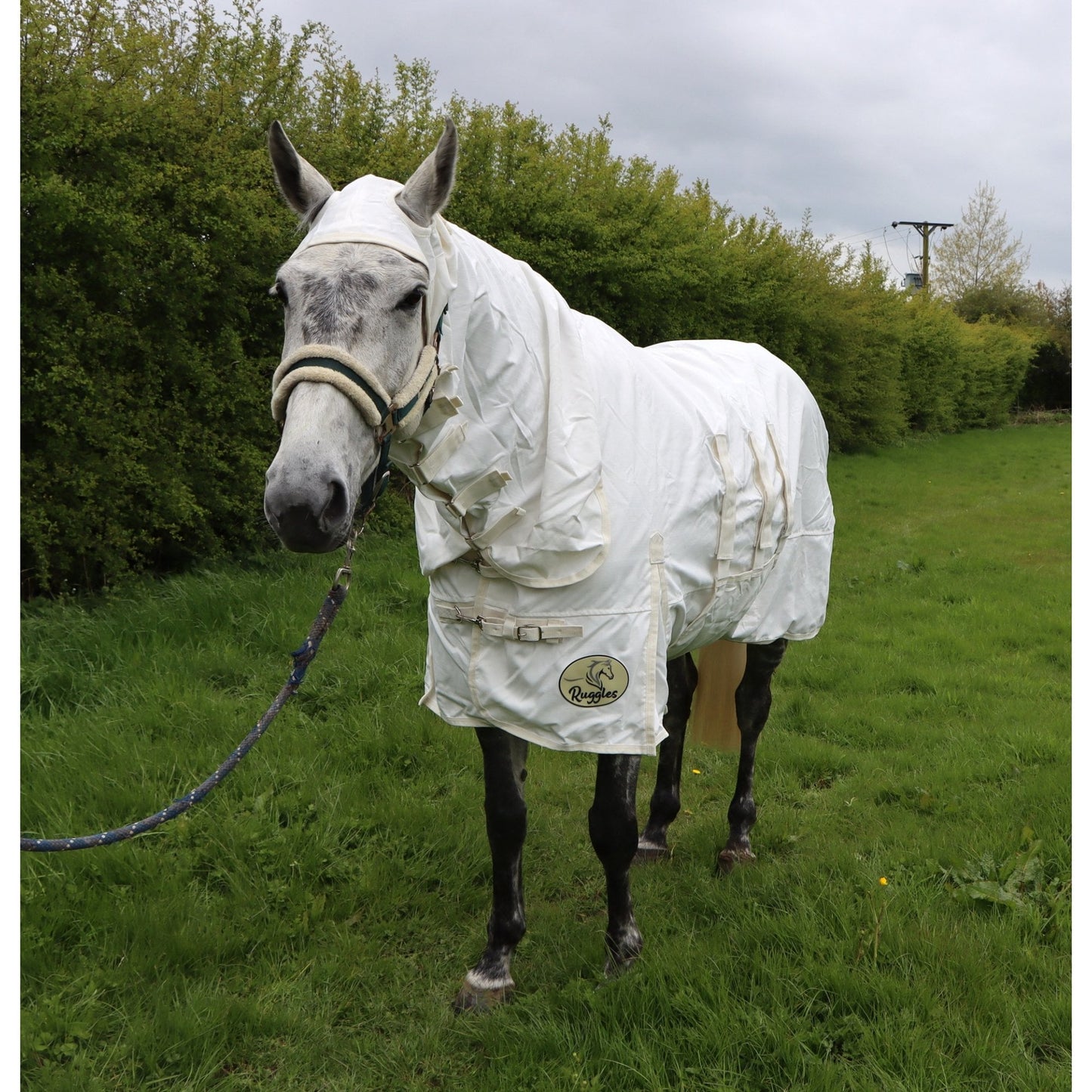 UV Combo Fly Rug With Tail Flap
