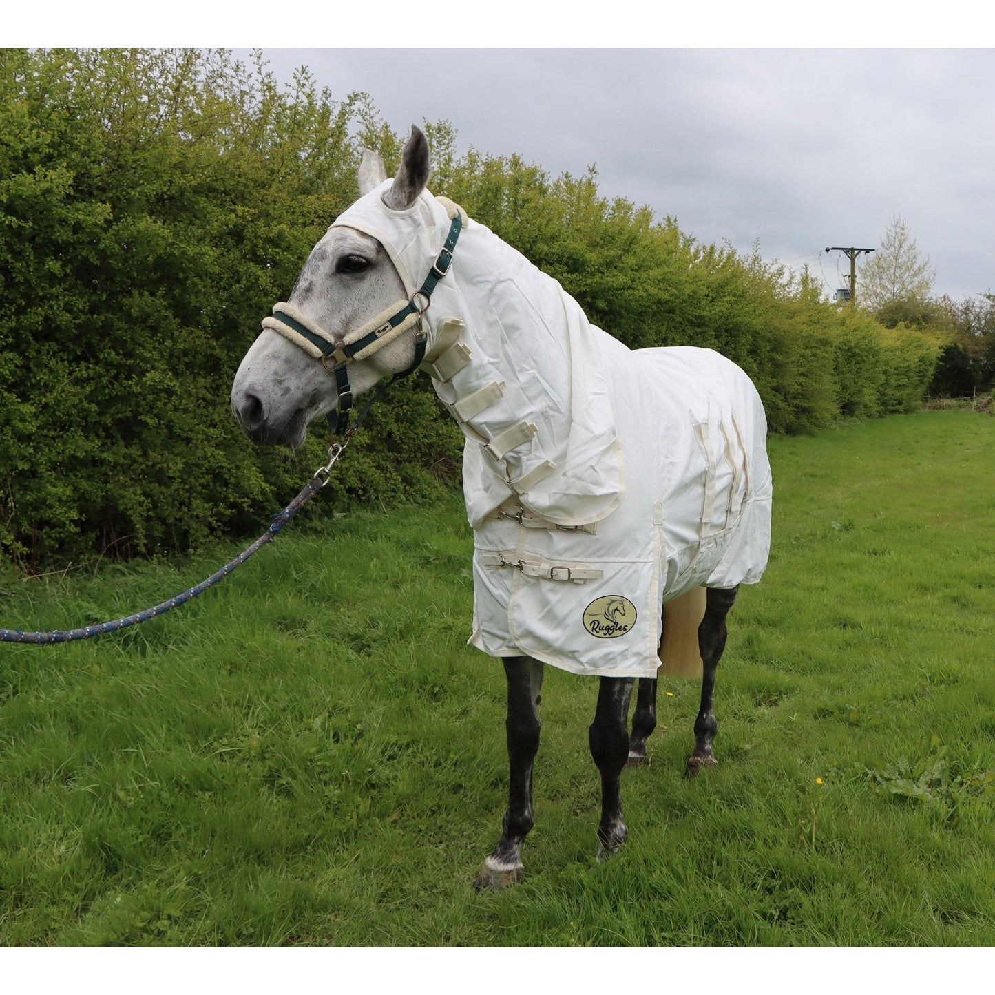 UV Combo Fly Rug With Tail Flap