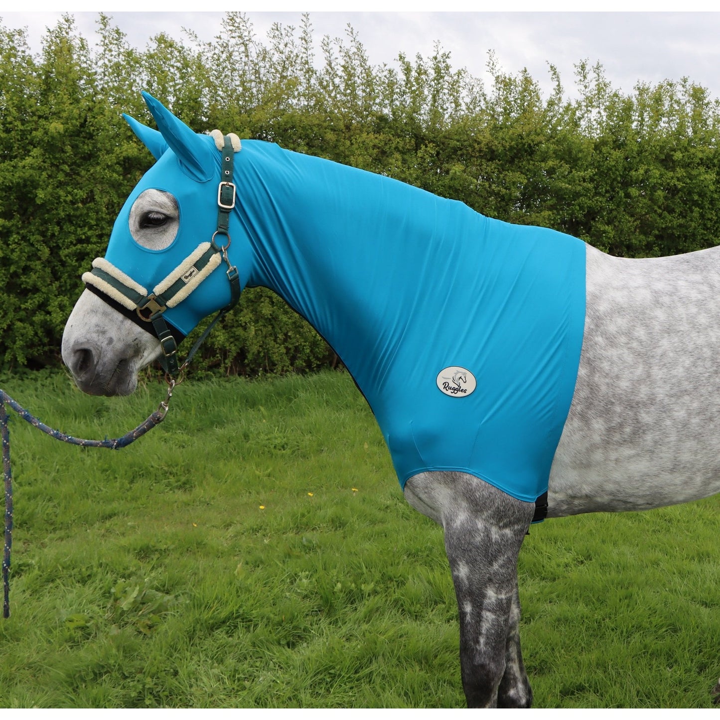 Lycra Hood With Zip - Available With or Without Ears