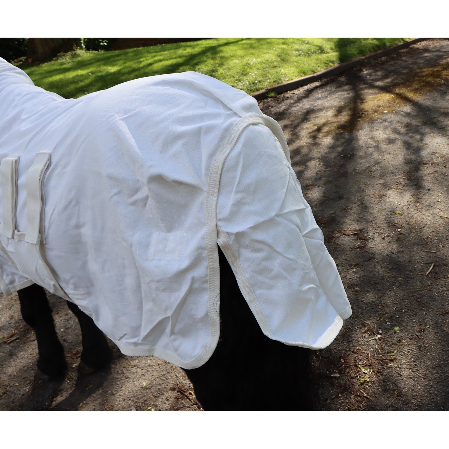 Shetland - Miniature UV Fly Rug Combo