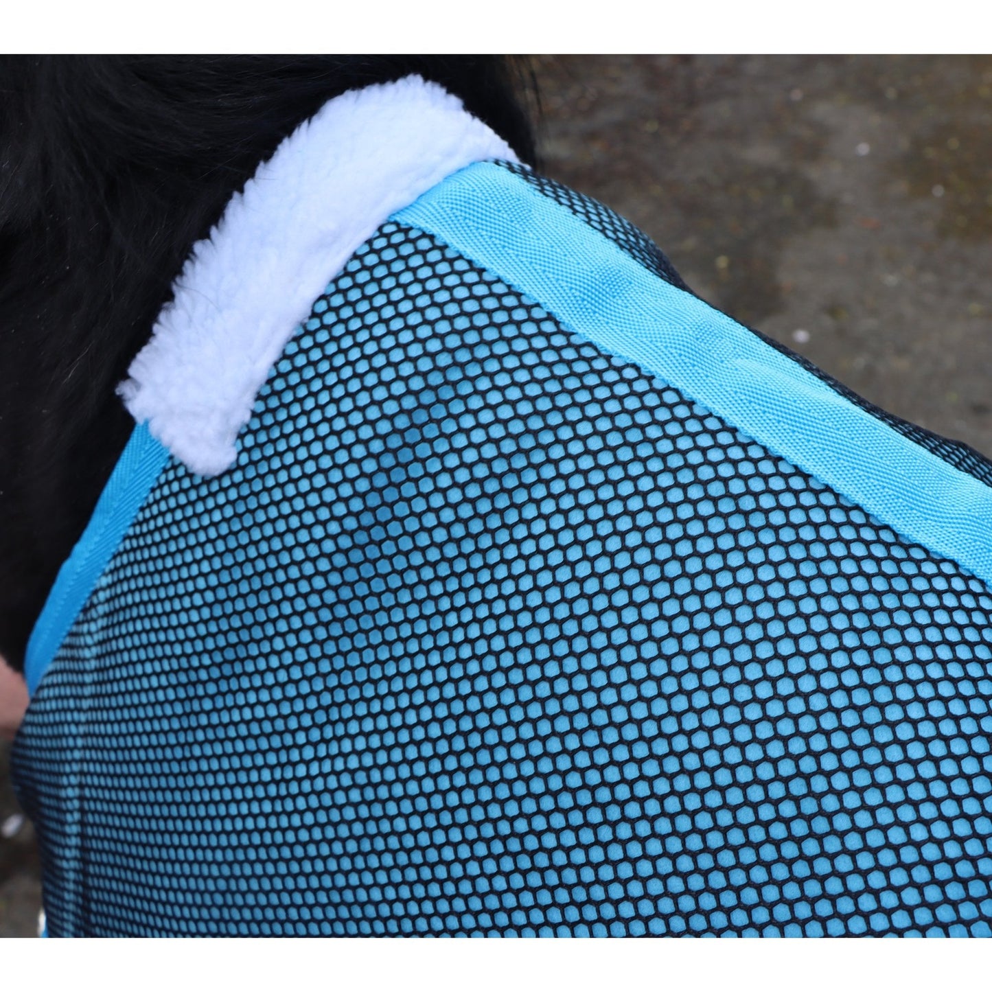 Shetland-Miniature-Donkey Mesh Cooler Rug