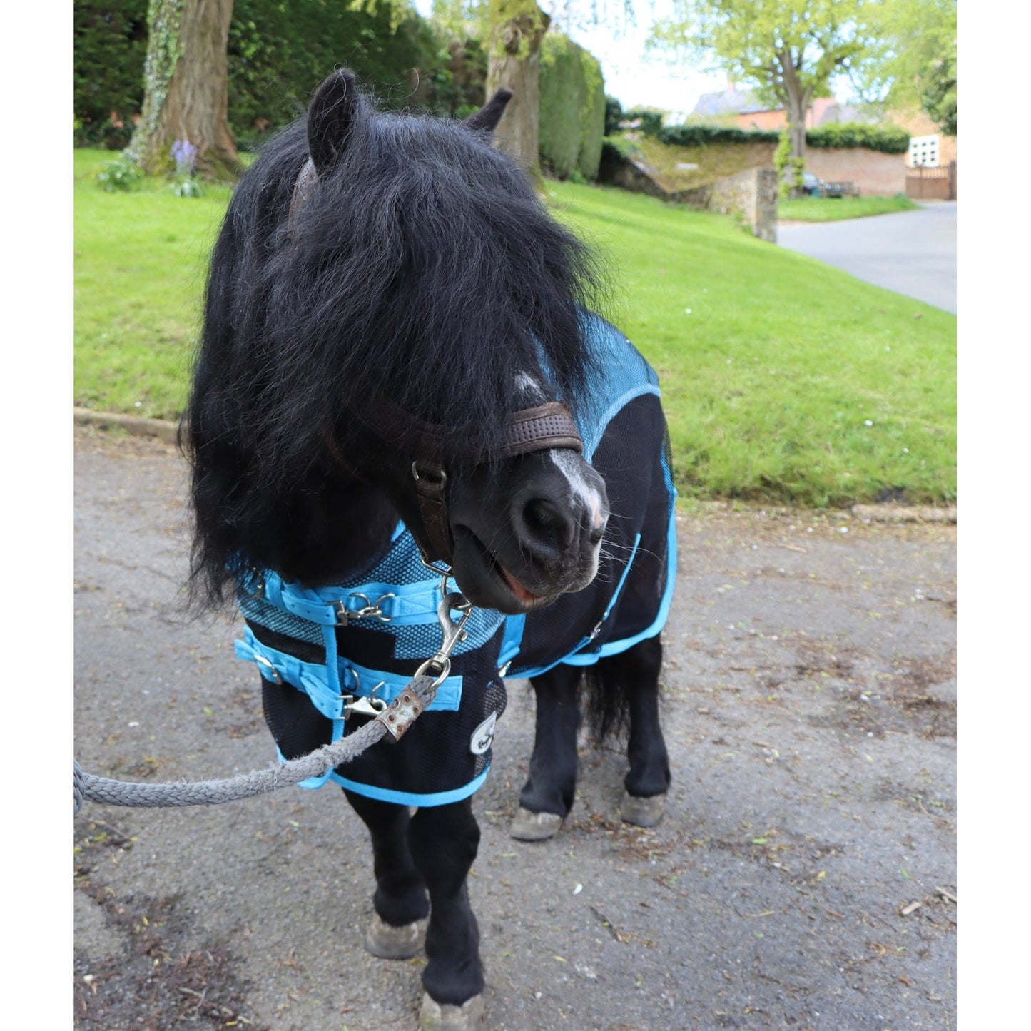 Shetland-Miniature-Donkey Mesh Cooler Rug
