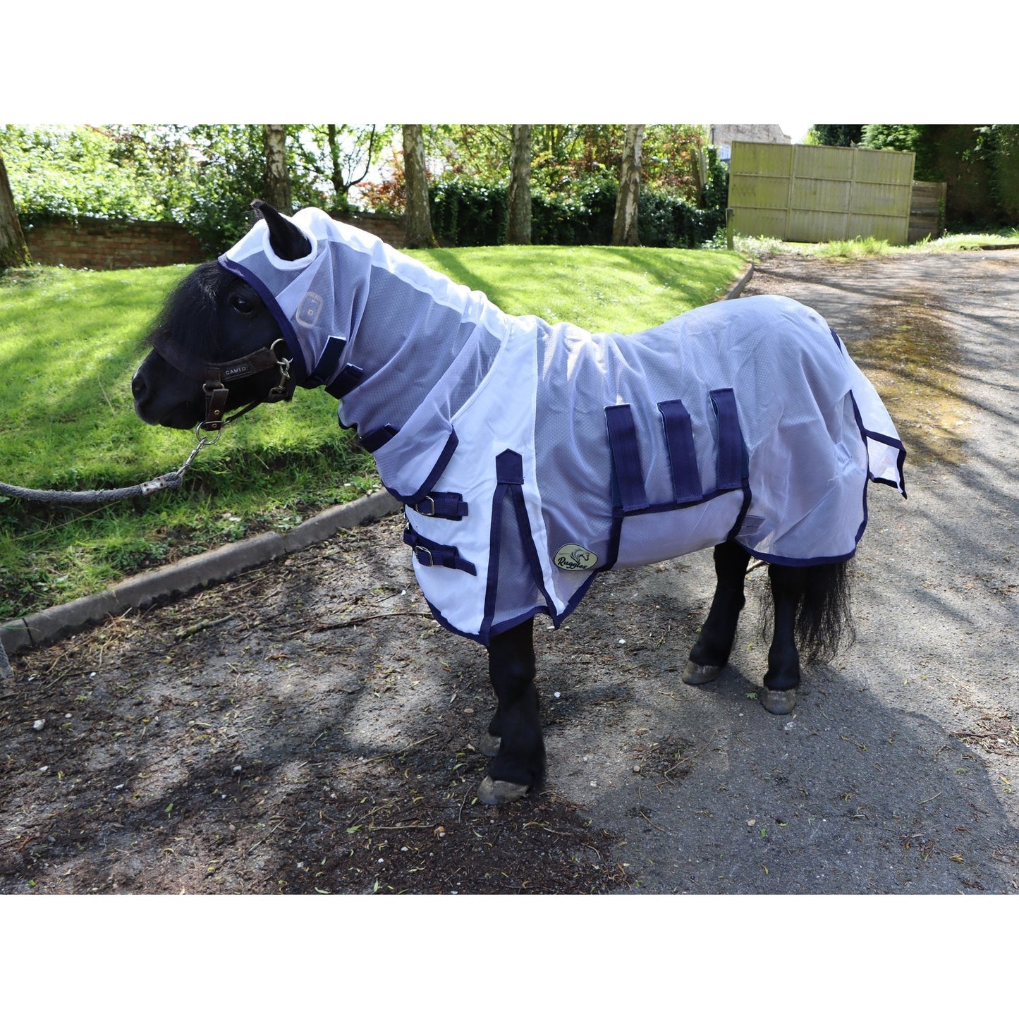 Shetland-Miniature-Donkey Ultra Light Combo Fly Rug With Ear Holes