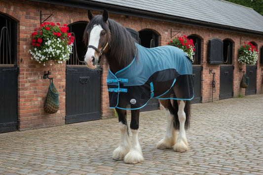 Heavy Horse Mesh Cooler Rug
