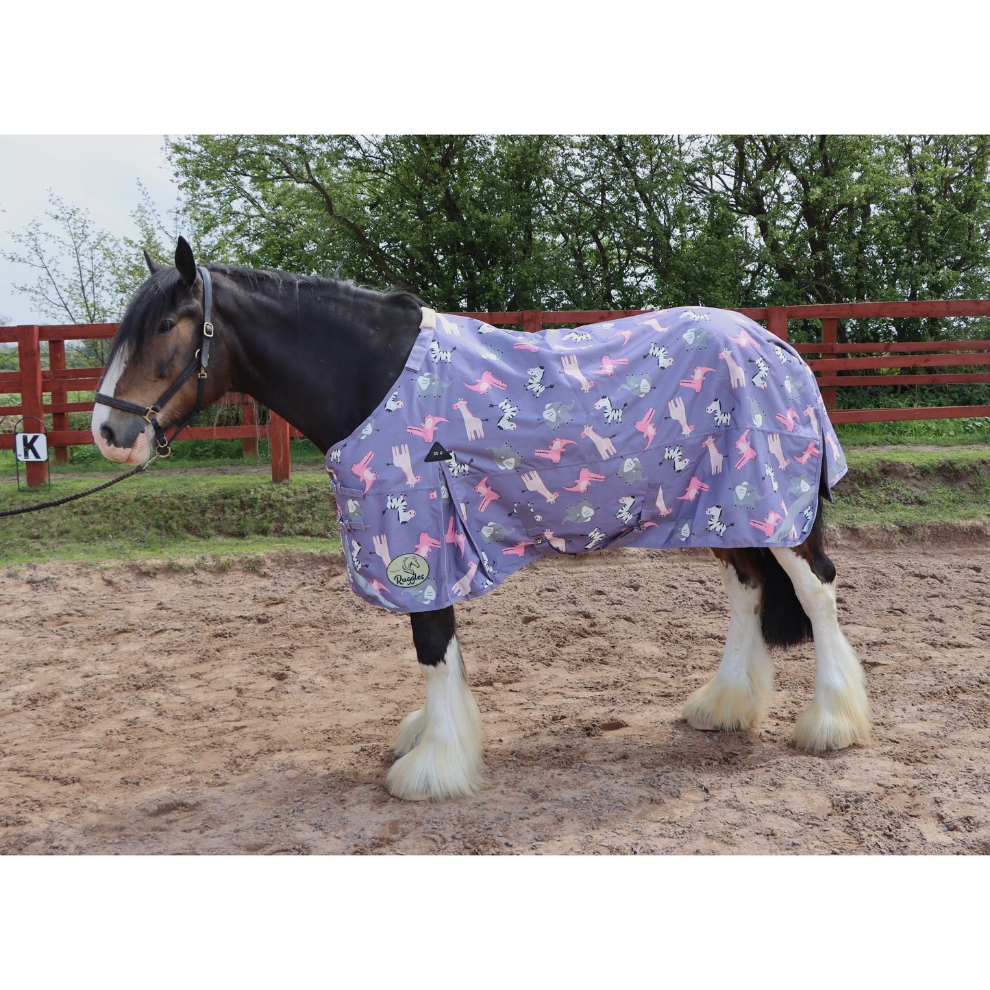 Heavy Horse 50g 1200D V2 Turnout Rug