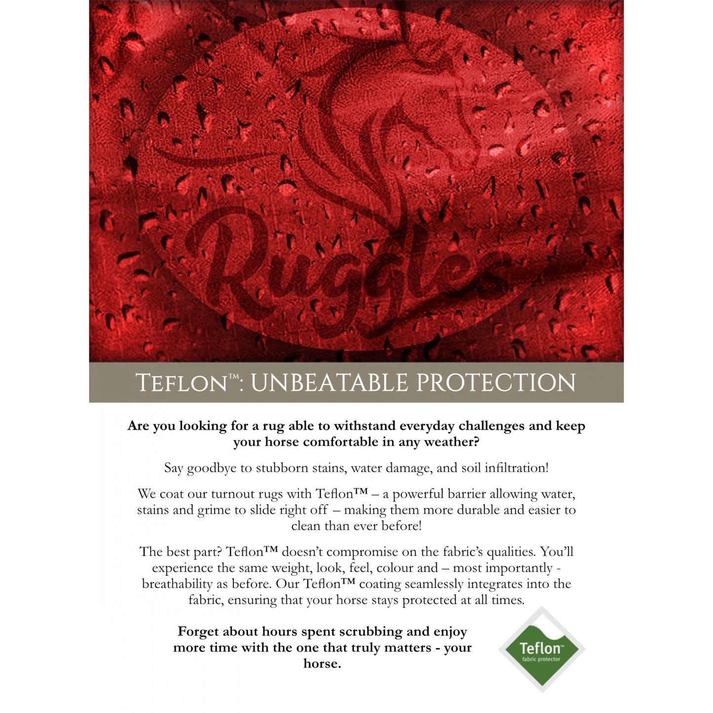 100g Standard V2 Turnout Rug