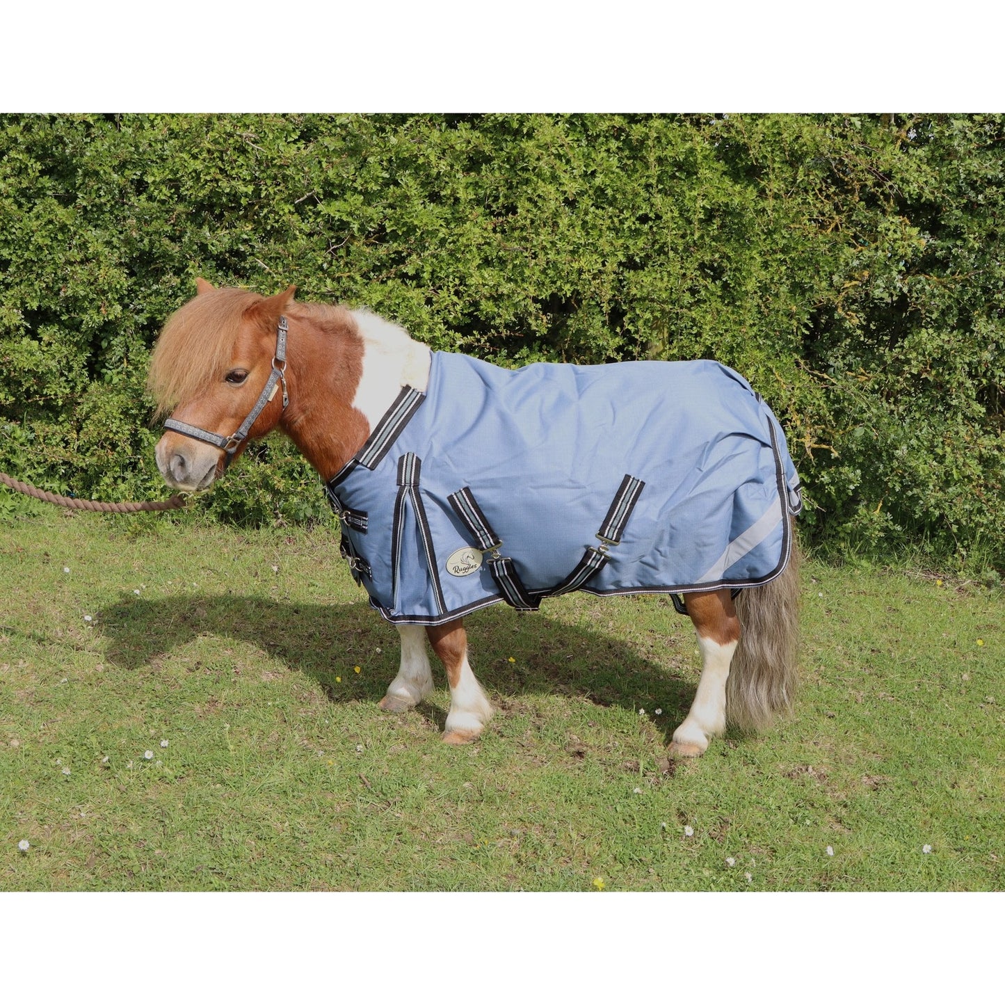 Shetland-Miniature-Donkey-Section A 100g V2 Turnout Rug
