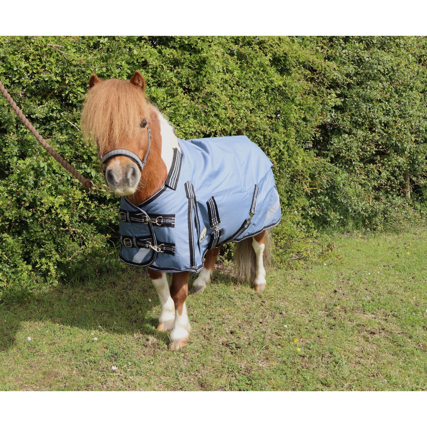 Shetland-Miniature-Donkey-Section A 100g V2 Turnout Rug