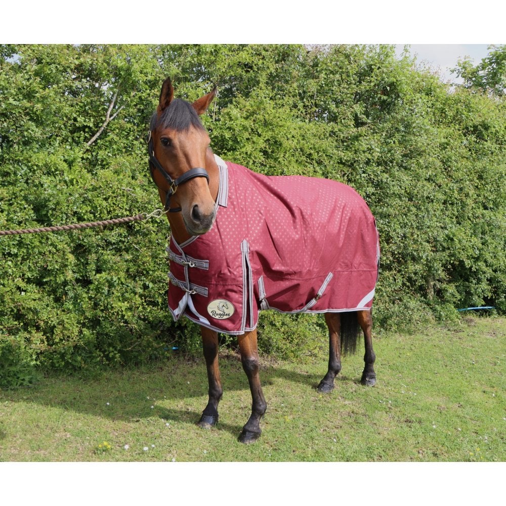 100g Standard V2 Turnout Rug