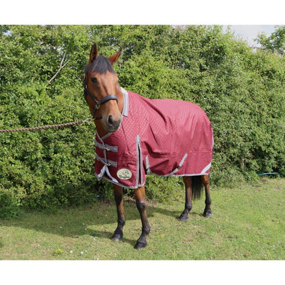 100g Standard V2 Turnout Rug