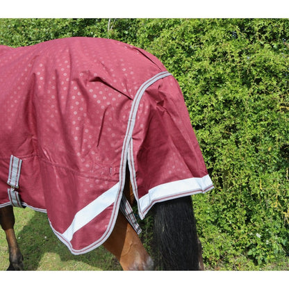 100g Standard V2 Turnout Rug