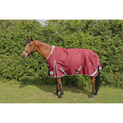 100g Standard V2 Turnout Rug