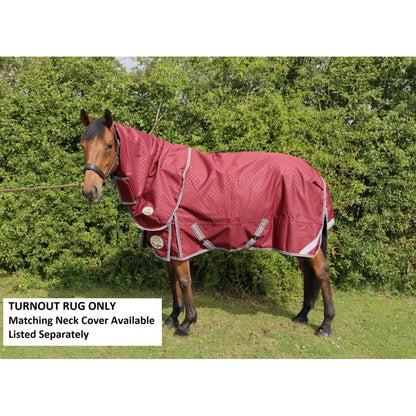 100g Standard V2 Turnout Rug