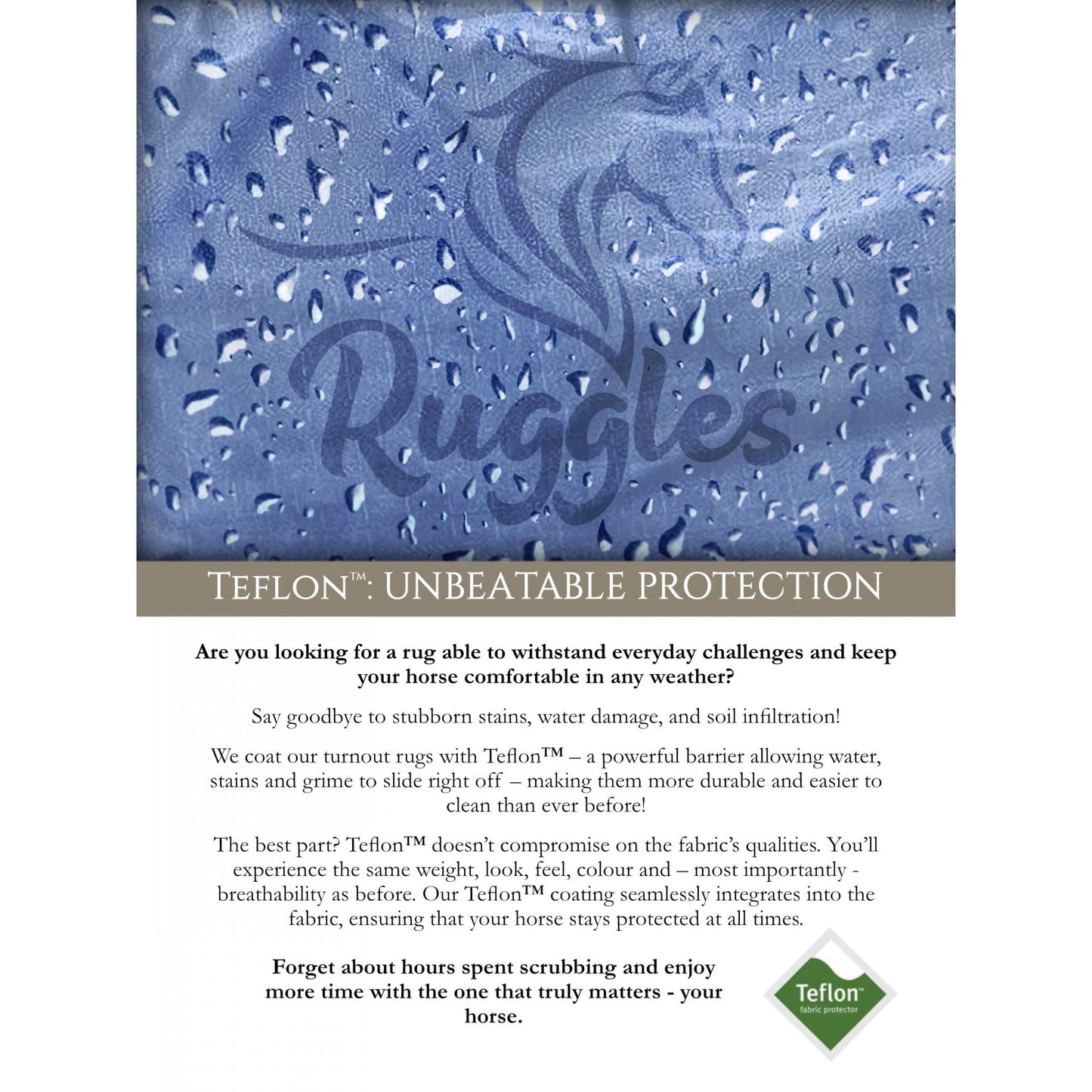 Shetland-Miniature-Donkey-Section A 100g V2 Turnout Rug