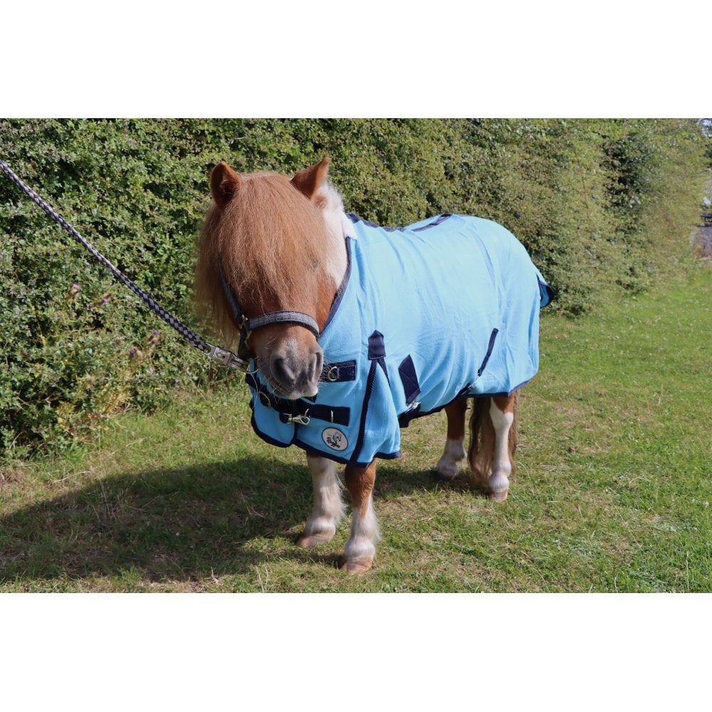 Shetland-Miniature-Donkey-Section A Polar Fleece Rug