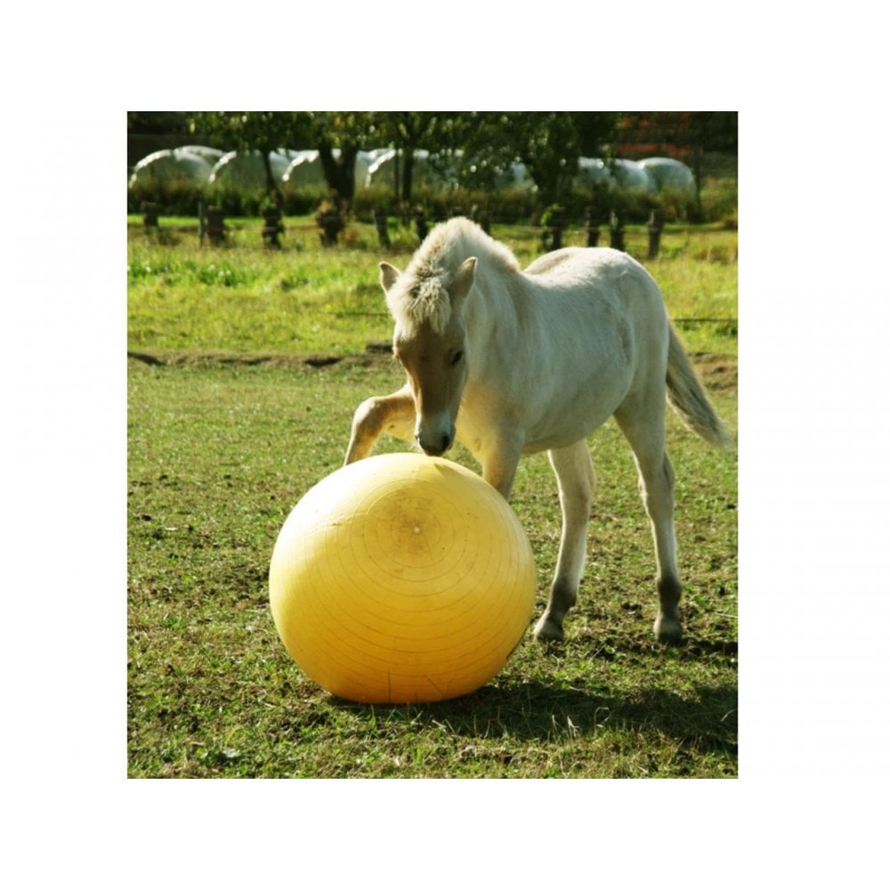 Maximus Power Play Ball