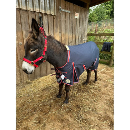 Shetland-Miniature-Donkey-Section A 50g V2 Turnout Rug