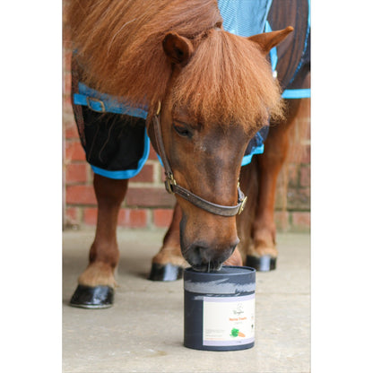 Ruggles Horse Treats 1.2kg