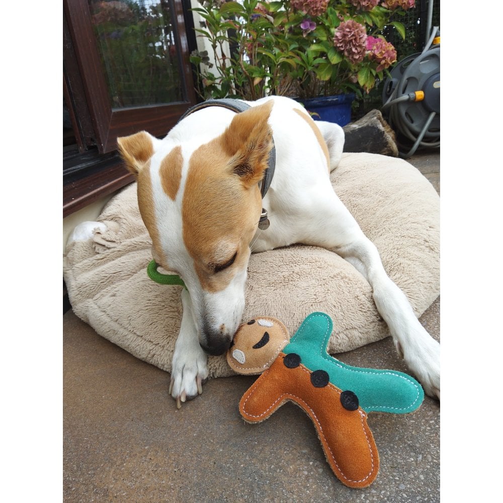 Dog Toy - Gingerbread Man
