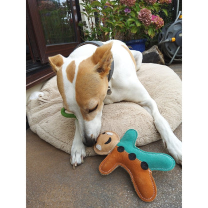 Dog Toy - Gingerbread Man