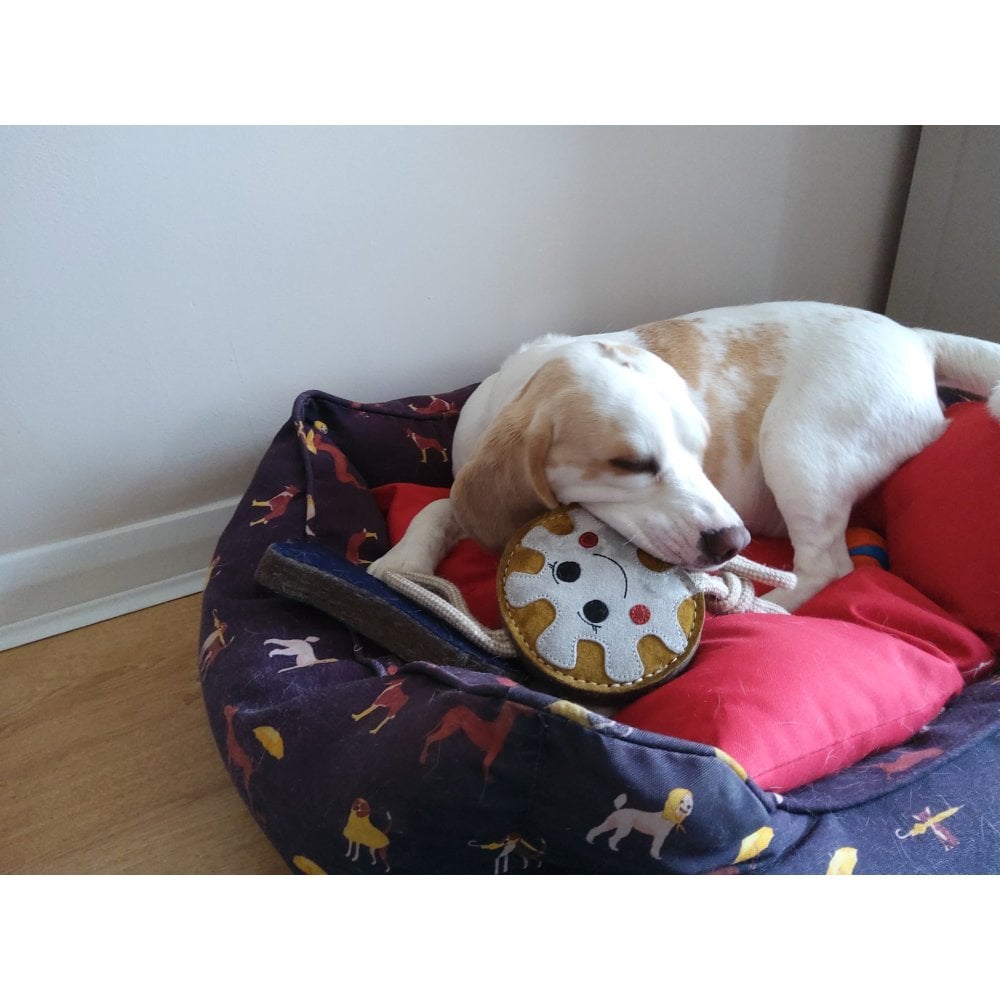 Dog Toy - Doughnut – Ruggles Equestrian