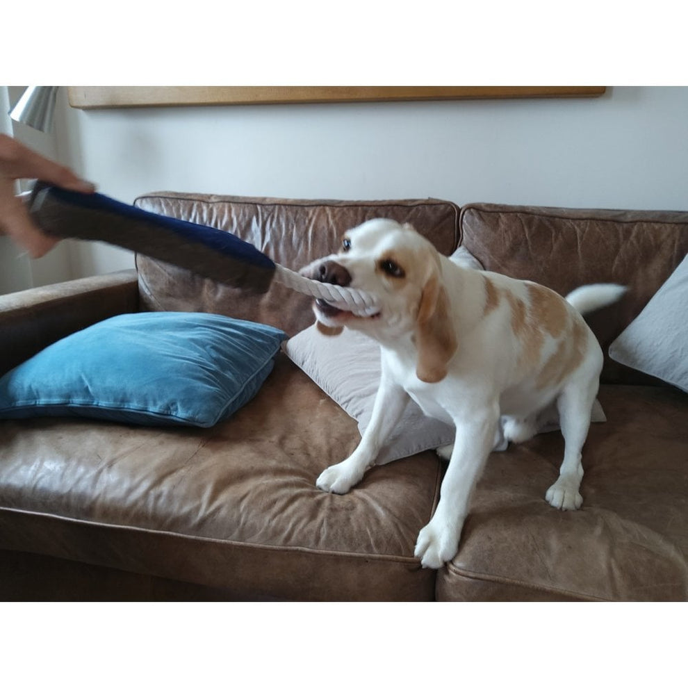 Dog Toy - Fabric Bone – Ruggles Equestrian
