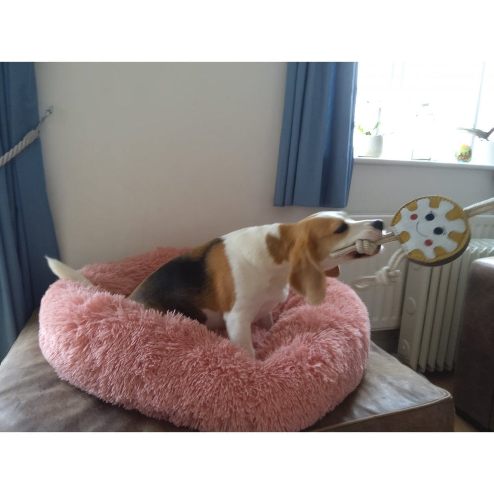 Dog Toy - Doughnut – Ruggles Equestrian