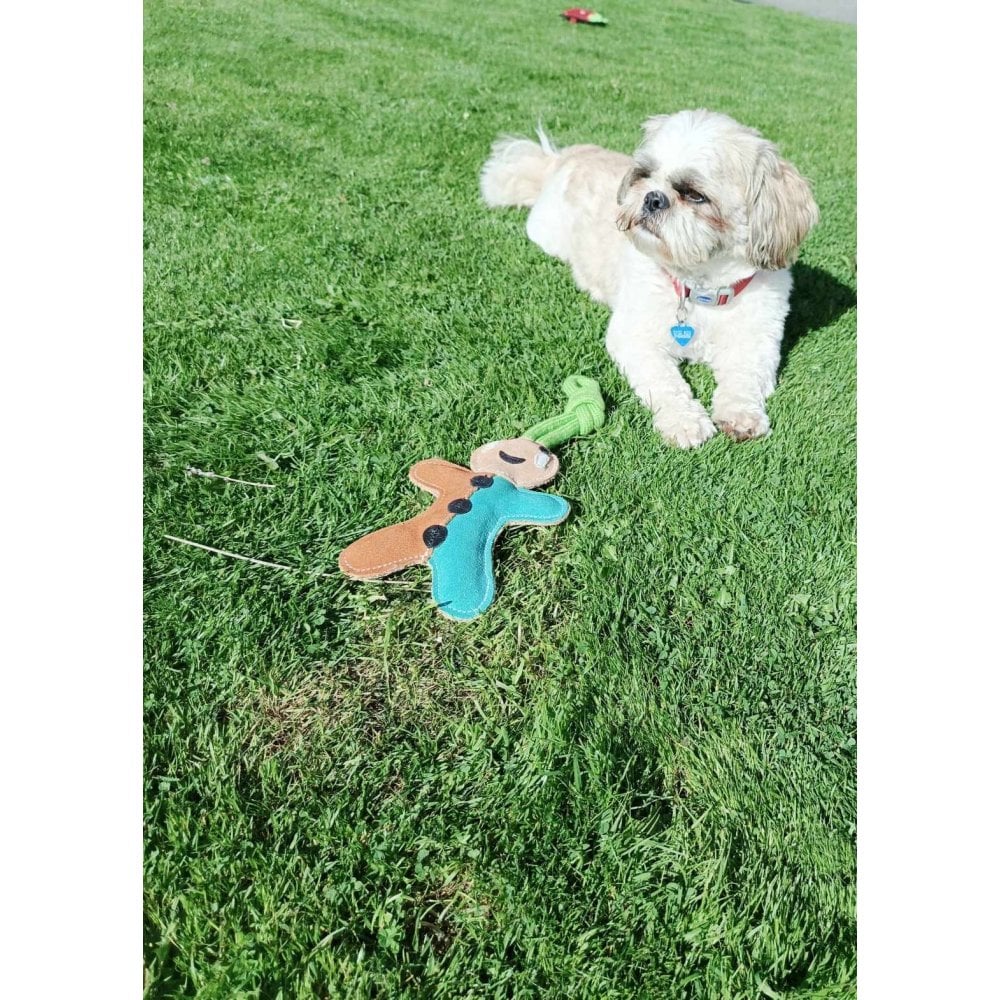 Dog Toy - Gingerbread Man