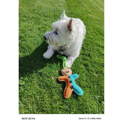 Dog Toy - Gingerbread Man