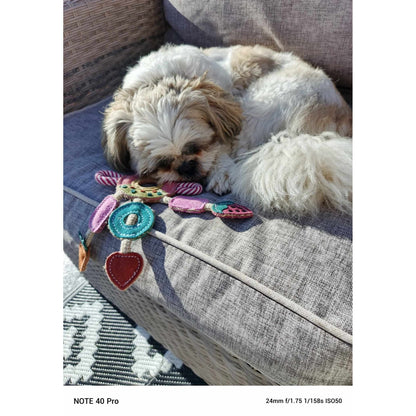 Dog Toy - Multi Ring