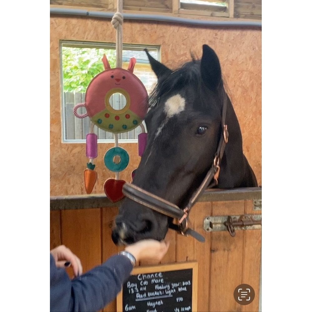 Horse Toy - Multi Ring