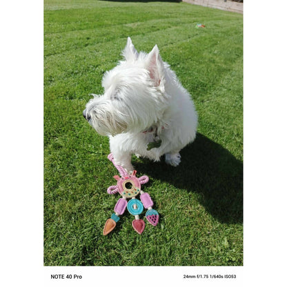 Dog Toy - Multi Ring