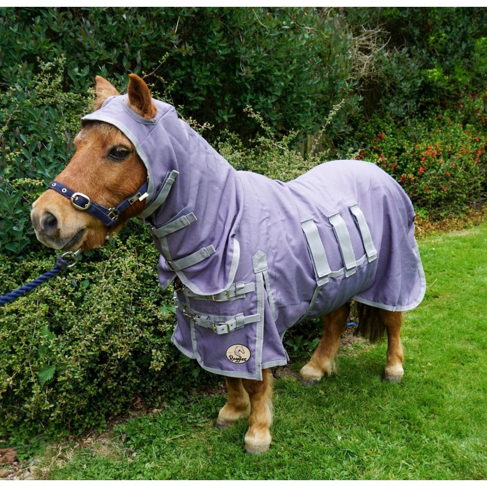 Shetland - Miniature UV Fly Rug Combo