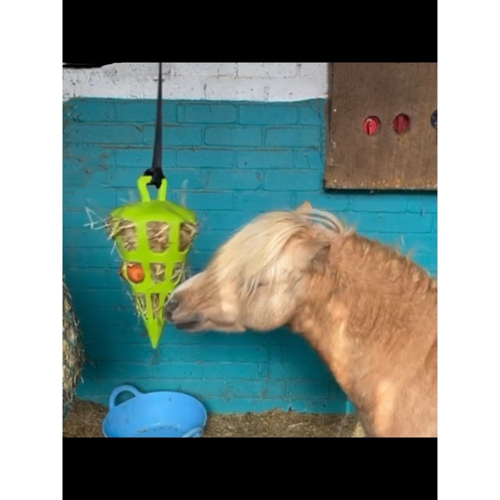 Hay Slow Feeder Fun and Flex Carrot
