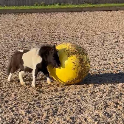 Maximus Power Play Ball