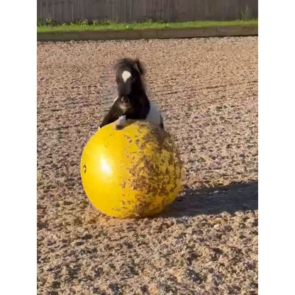 Maximus Power Play Ball