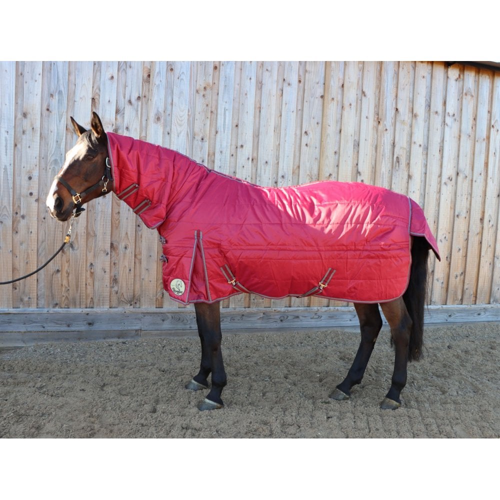 200g Middleweight Combo Stable Rug