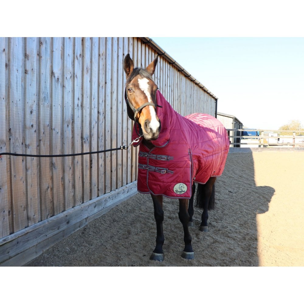 200g Middleweight Combo Stable Rug