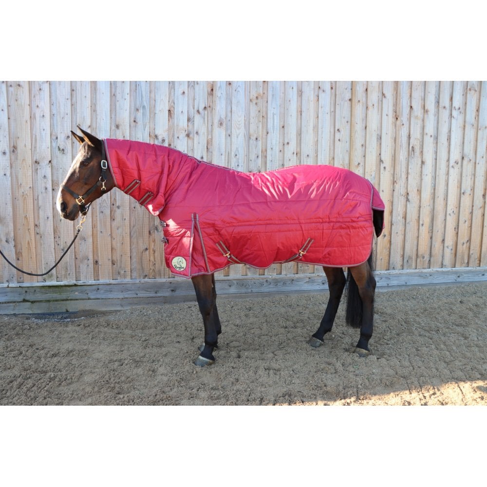 200g Middleweight Combo Stable Rug