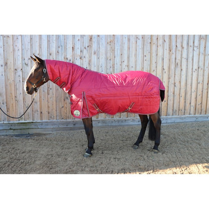 200g Middleweight Combo Stable Rug