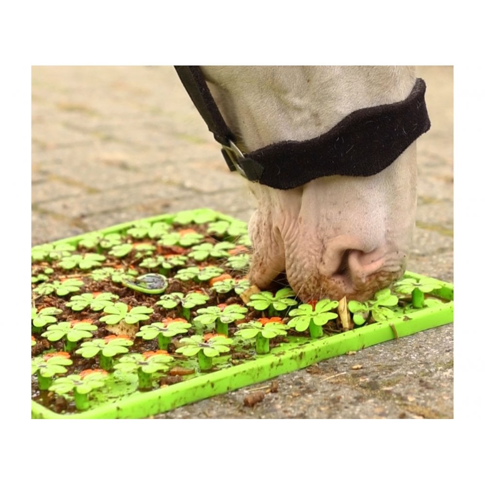 Horse-Pony-Shetland-Donkey Snuffle Treat Mat