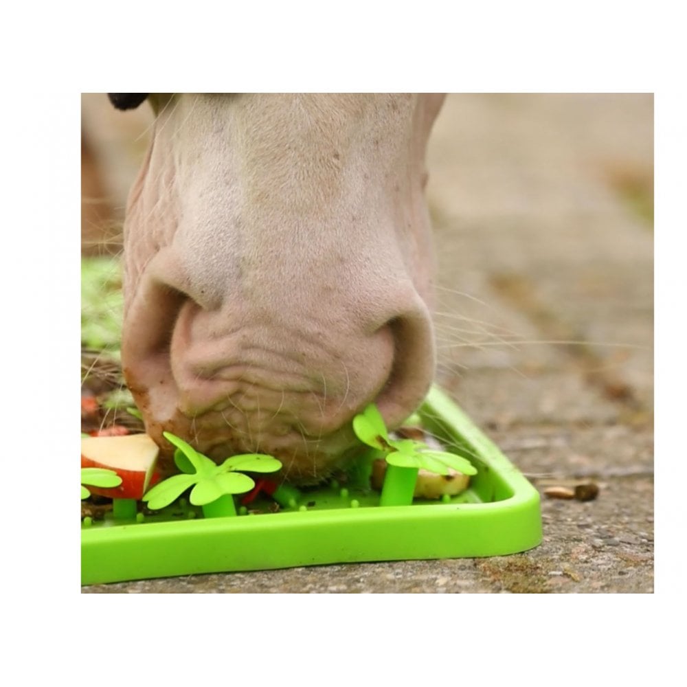 Horse-Pony-Shetland-Donkey Snuffle Treat Mat