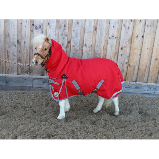 Shetland-Miniature-Donkey Combo Turnout 200g