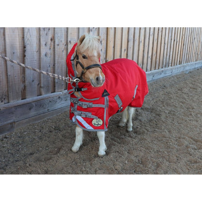 Shetland-Miniature-Donkey Combo Turnout 200g